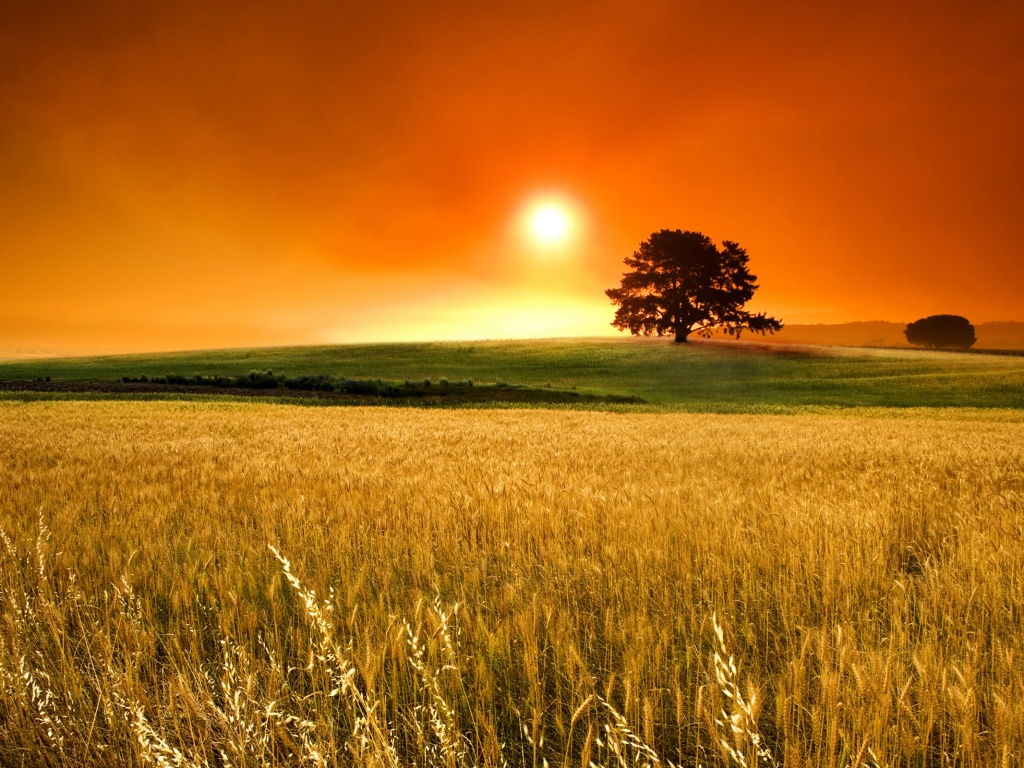 Taller sobre el desarrollo económico