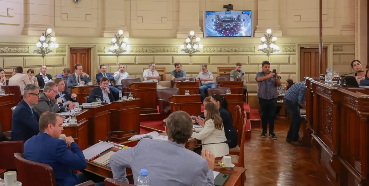 El Senado de Santa Fe debate la reforma electoral y el proyecto sobre cuidacoches