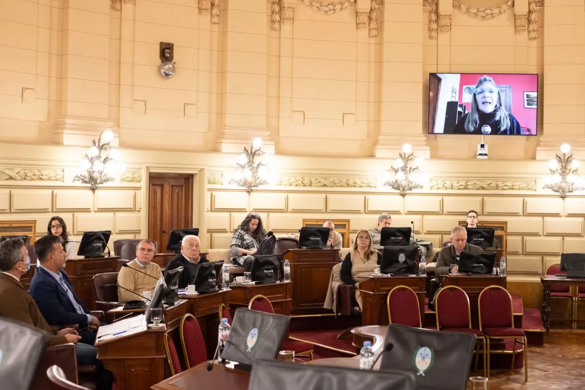 Ley Nicolás: La Comisión de Salud recibió a familiares de víctimas de fentanilo