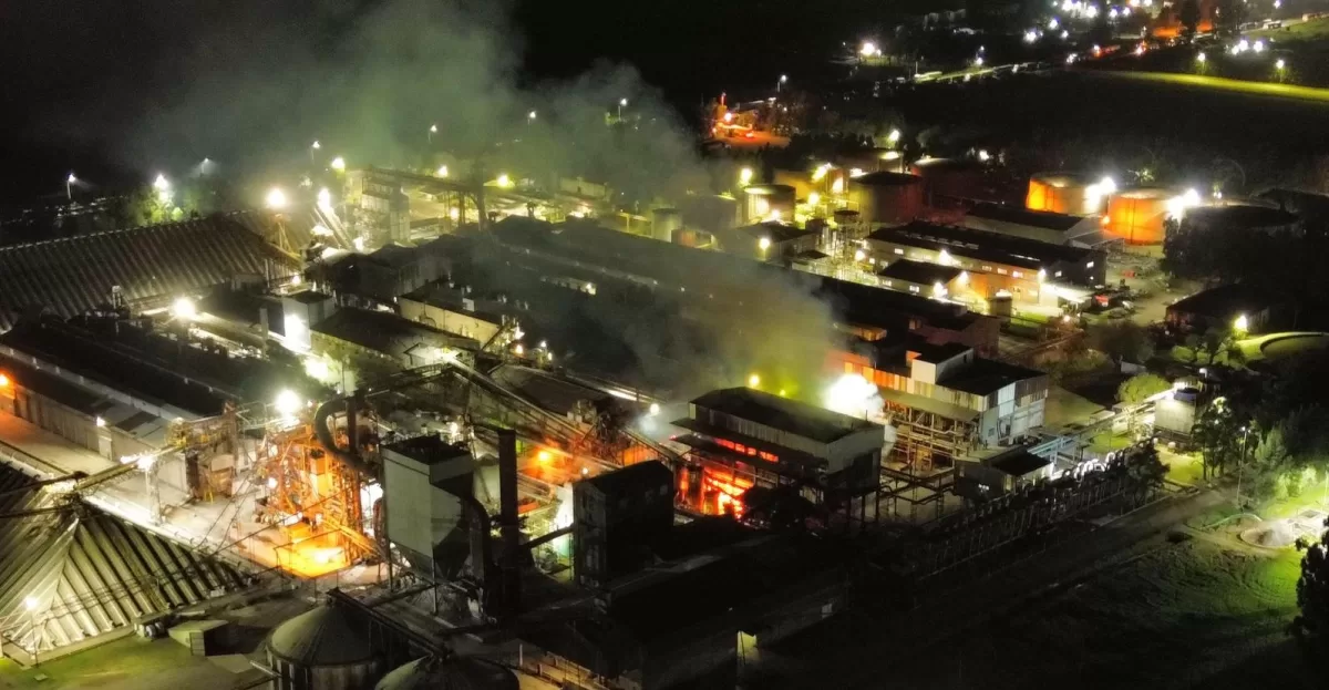 Vicentin reactivó parte de la planta y normaliza las operaciones tras el voraz incendio